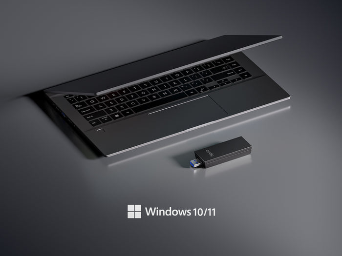 Windows 10 11